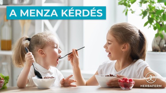 A nagy menza kérdés